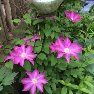 Meet your Posher, Beth